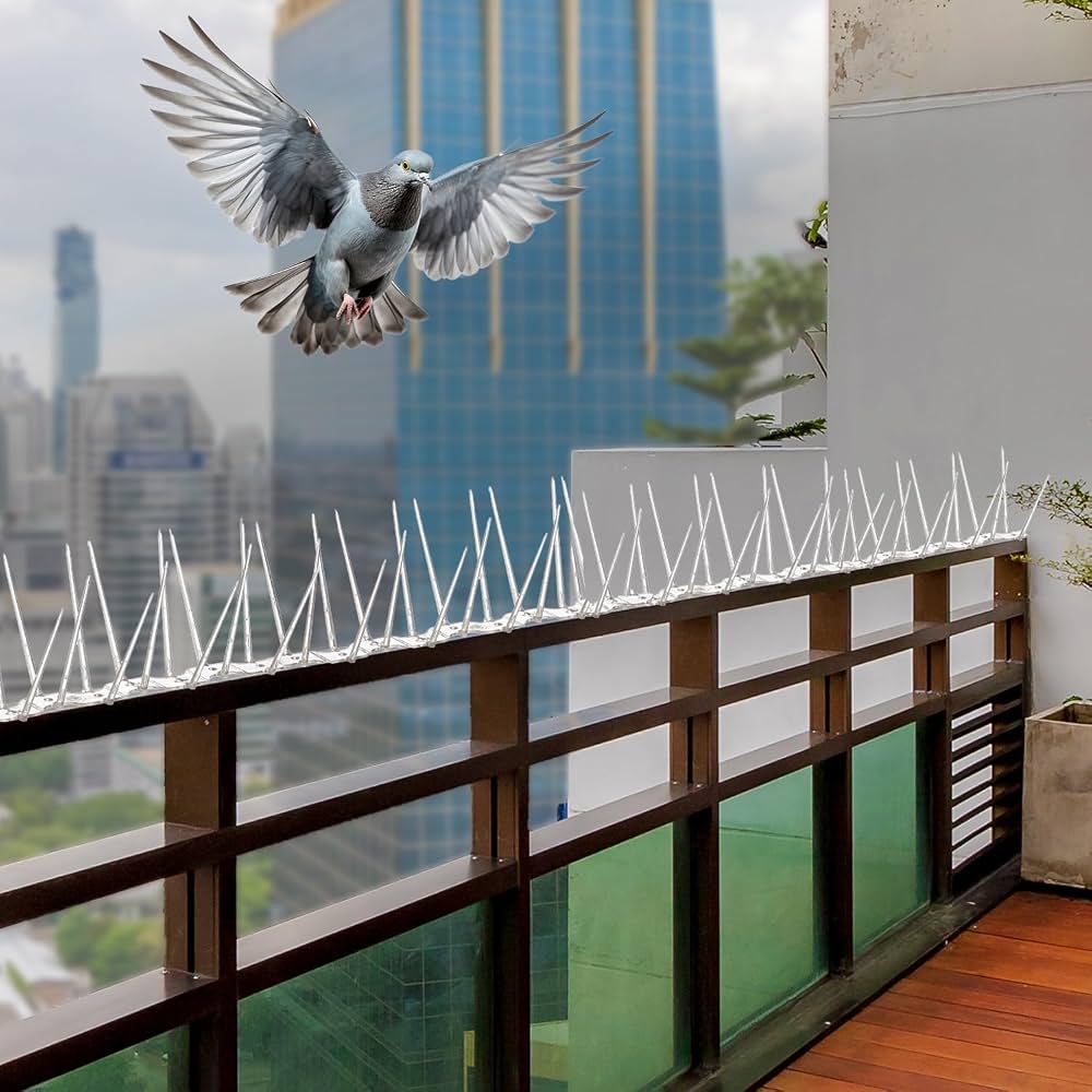 Bird spikes installation